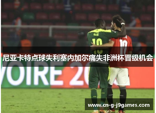 尼亚卡特点球失利塞内加尔痛失非洲杯晋级机会