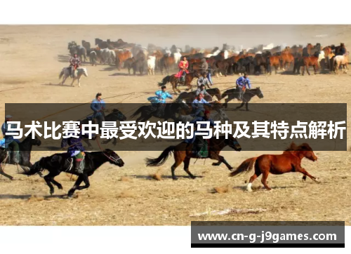 马术比赛中最受欢迎的马种及其特点解析
